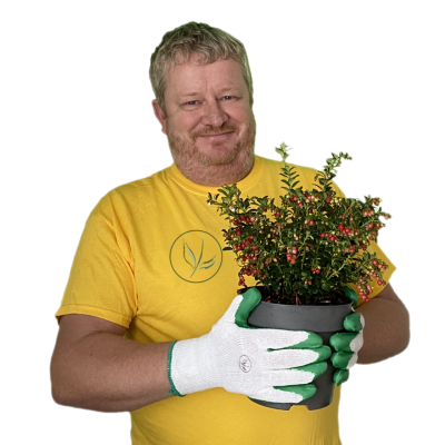 Frank aus unserem Team