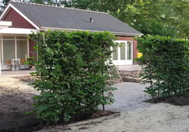 Fertighecken verpackt für Ihren Garten